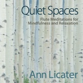 Quiet Spaces: Flute Meditations for Mindfulness and Relaxation artwork