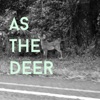 As the Deer - Single, 2017