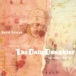 The Good Son Vs. The Only Daughter - The Blemish Remixes - David Sylvian