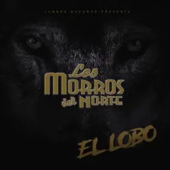 El Lobo - Single - Los Morros del Norte El Lobo - Single - Los Morros del Norte