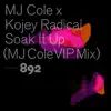 Soak It Up (MJ Cole VIP Mix) - Single album lyrics, reviews, download