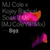 Soak It Up (MJ Cole VIP Mix) - Single