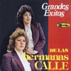 Grandes éxitos de las Hermanas Calle