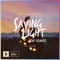 Saving Light (NWYR Remix) [feat. HALIENE] artwork