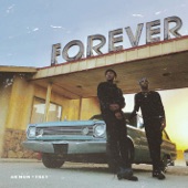 Forever artwork