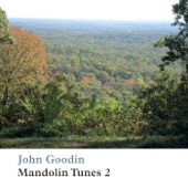 John Goodin - Big Tree Down