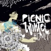 Picnic - Love Song for an Imaginary Lover