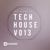 The Sound of Tech House, Vol. 13 - Various Artists