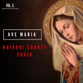 Ave Maria, Vol. 5 artwork