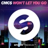 Won't Let You Go - Single