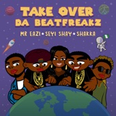 Take Over (feat. Mr Eazi, Seyi Shay & Shakka) artwork