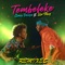 Tembeleke (feat. Liro Shaq) - Crazy Design lyrics