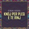 Knoj Per Pleq E Te Rinj - Sinan Hoxha lyrics