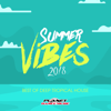 Summer Vibes 2018: Best of Deep Tropical House - Various Artists