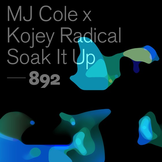 Cover artwork for Soak It Up