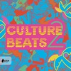 Culture Beats 2 artwork