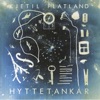 Kjetil Flatland - Gå Det Av Deg