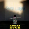 Samo Ljubav - Single