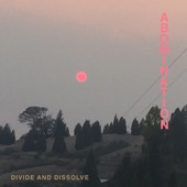Divide And Dissolve - Assimilation