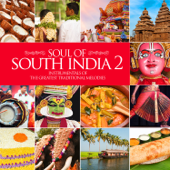 Soul of South India 2 - Instrumentals of the Greatest Traditional Melodies - Artisti Vari