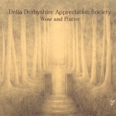 Delia Derbyshire Appreciation Society - The Fireflies of Manhattan