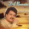 Dil Nawaaz, Vol. 1 album lyrics, reviews, download