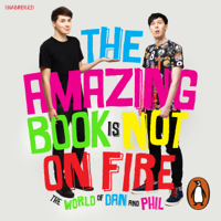 Dan Howell & Phil Lester - The Amazing Book is Not on Fire artwork