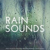Rain Sounds: Nature Sounds for Deep Sleep, Relaxation, Meditation, Calm & Soothing artwork