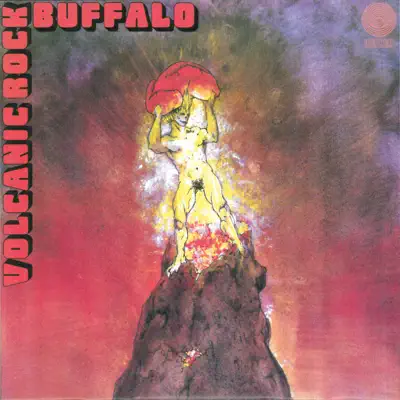 Volcanic Rock - Buffalo