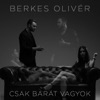 Csak Barát Vagyok - Single