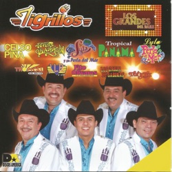 Tigrillos - Pelotero a la Bola (feat. José Luis Beltran)