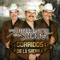 Corrido De Ramón Vega - Los Diferentes de la Sierra lyrics