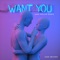 Want You (Jake Koller Remix) - Sam Smyers lyrics