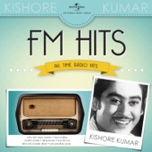 FM Hits - All Time Radio Hits artwork
