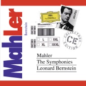 Mahler: The Symphonies artwork
