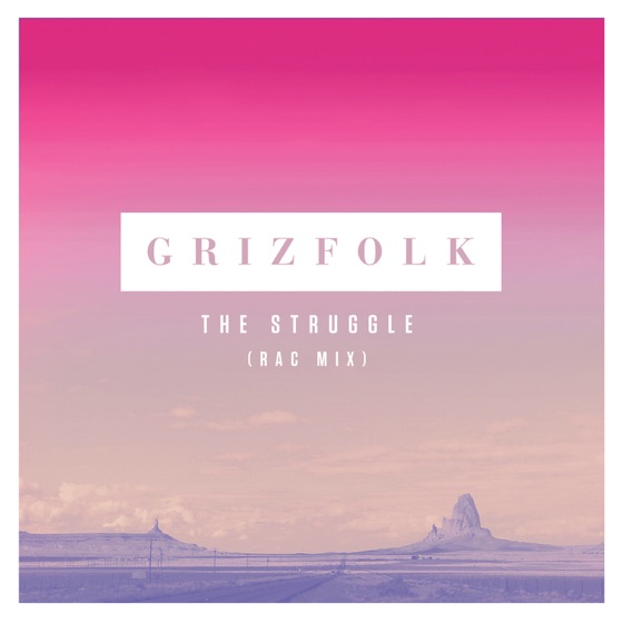 Cover artwork for The Struggle