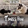 I Miss You - Single