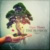 The Blossom