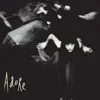 Adore (Remastered) album lyrics, reviews, download