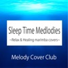 Melody Cover Club - All that she wants (marimba cover version)