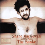 Shane MacGowan & The Popes - I’ll Be Your Handbag