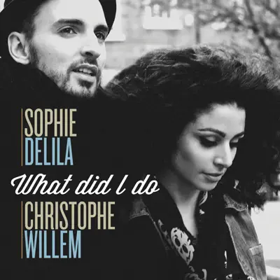 What Did I Do - Single - Christophe Willem