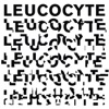 E.S.T Leucocyte, 2008