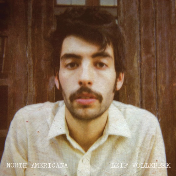 Cover artwork for A Wildfire Took Down Rosenberg