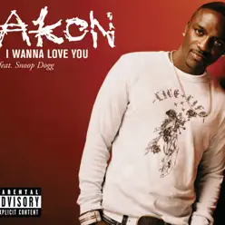 I Wanna Love You - Single - Akon