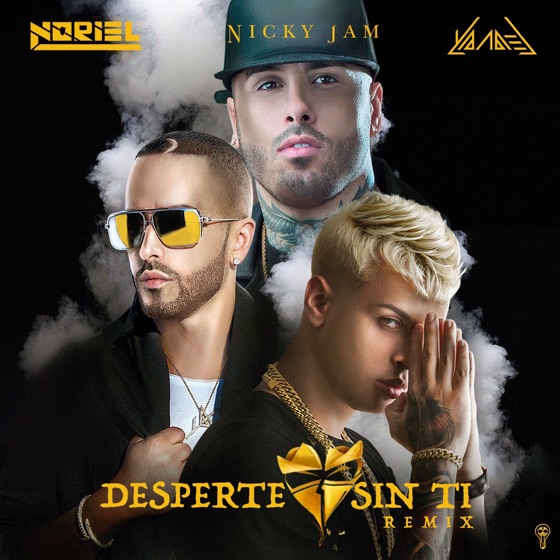 Cover artwork for Desperte Sin Ti (Remix)
