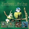 Vogelstimmen - Bird Songs