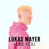 I Like You - Single