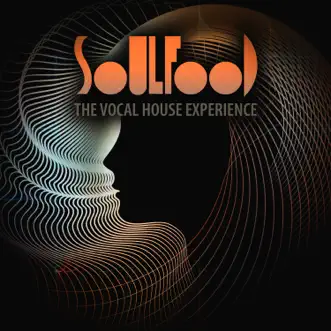 Soulfood: The Vocal House Experience by Various Artists album reviews, ratings, credits