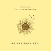 No Ordinary Love artwork